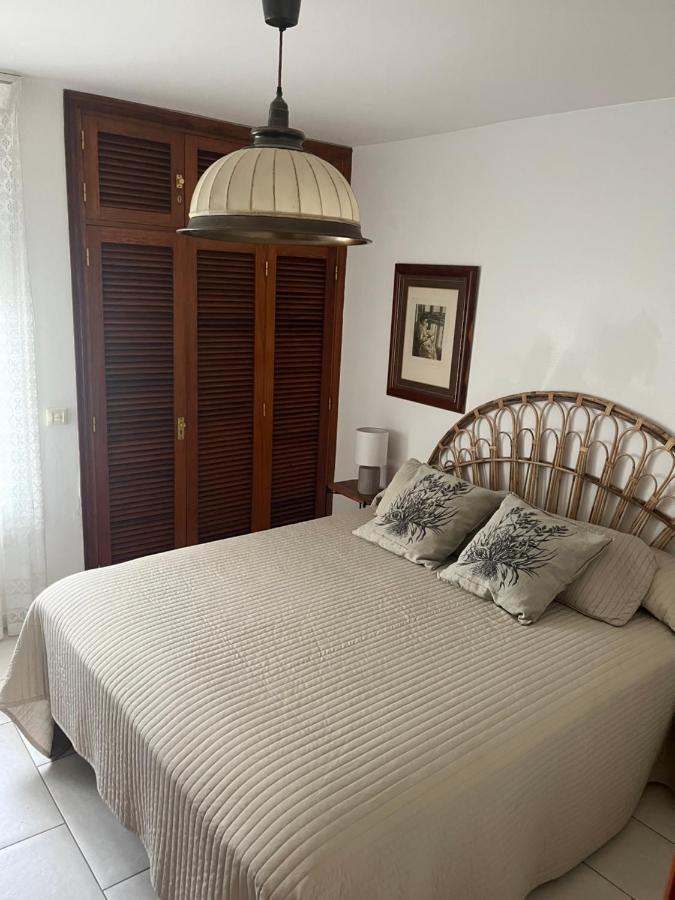 Bungalows Miami Beach 산아구스틴 외부 사진